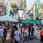 Holi Dance of Colours Querétaro 2018