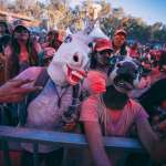 Holi Dance of Colours Querétaro 2018