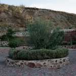 IMG 0234