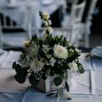 IMG 4562