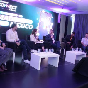 Payoneer Connect